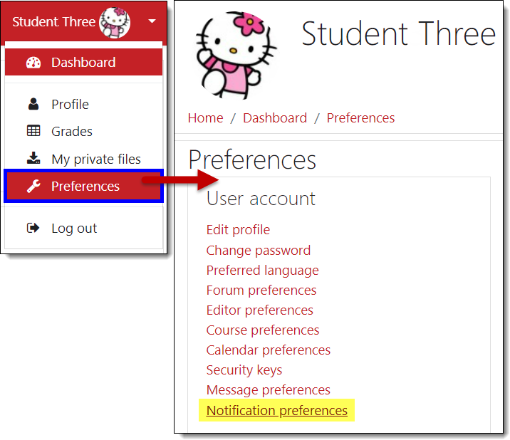 Screenshot of user menu and preferences menu