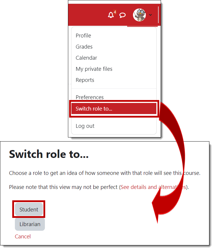 Screenshot of switch role options