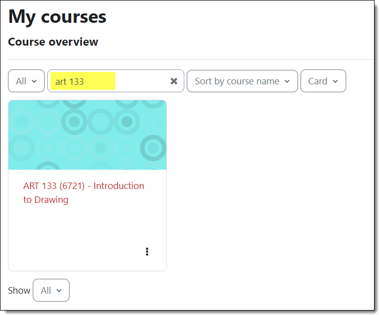 Screenshot of student course view