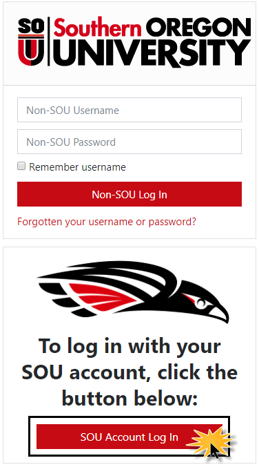Screenshot of login from browser