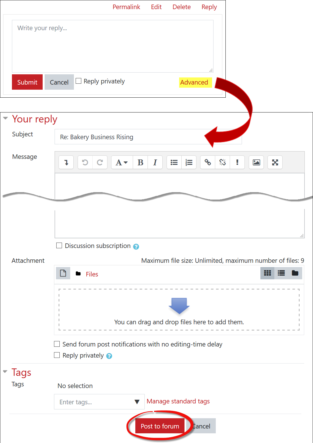 Screenshot of Advanced reply options