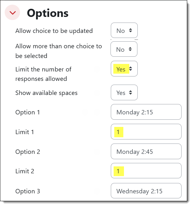 Screenshot of Choice Options area