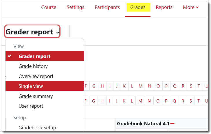 Screenshot of single view option
