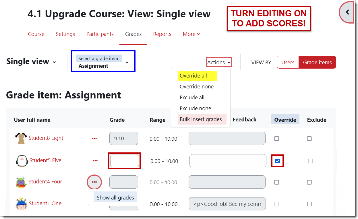 Screenshot of single view item selected