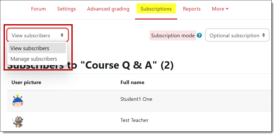 Screenshot of Subscriptions tab options