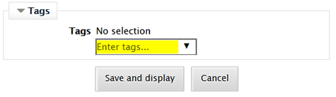 Screenshot of enter tags options