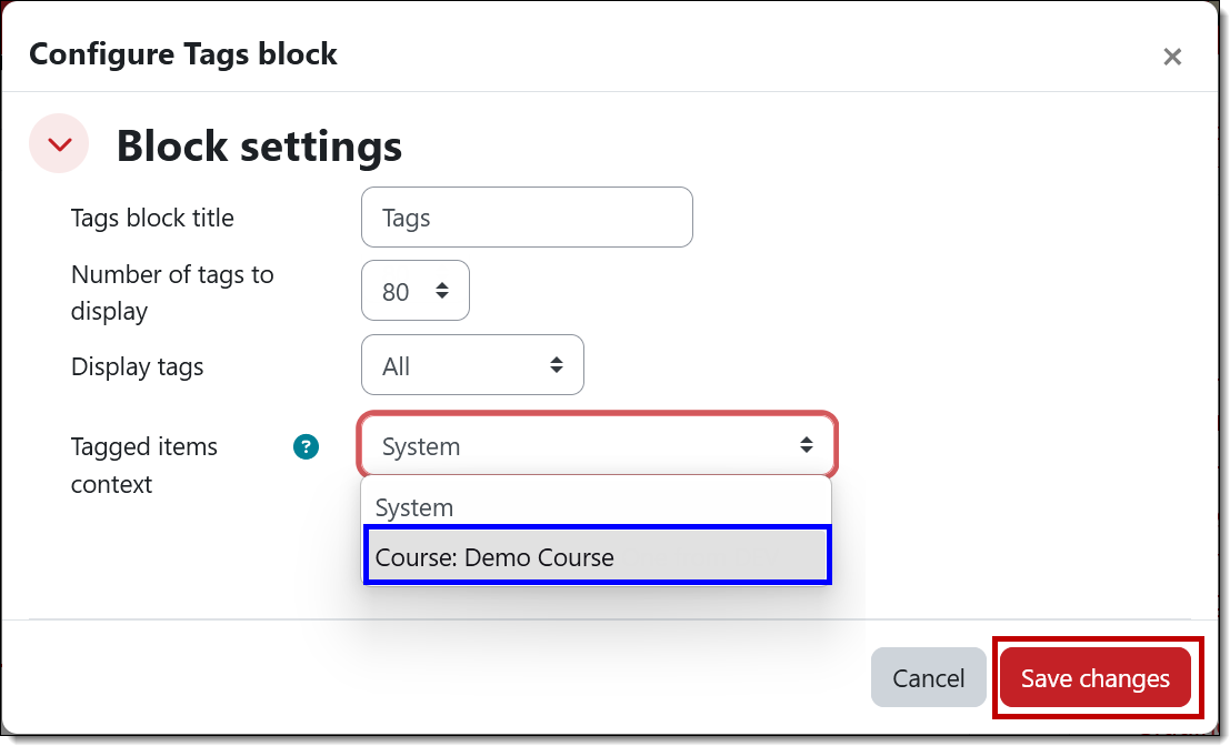 Screenshot of configure tags block options