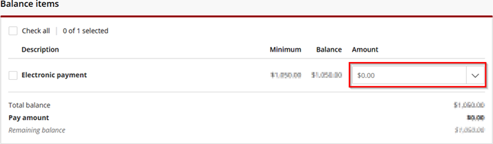 Picture of the balance due with the option to select/type in an amount in the highlighted box