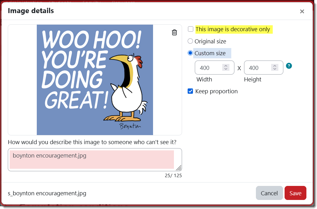 Screenshot of image properties interface